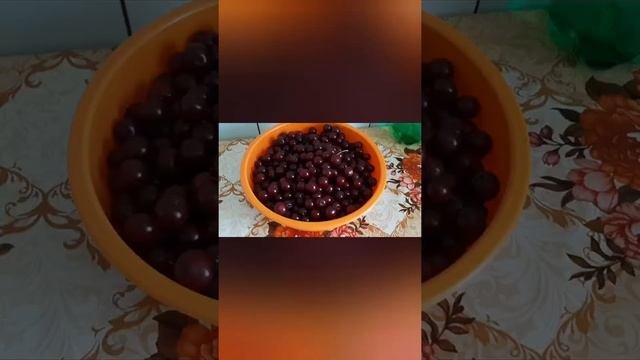 Вишня, вишня, спелая вишня???