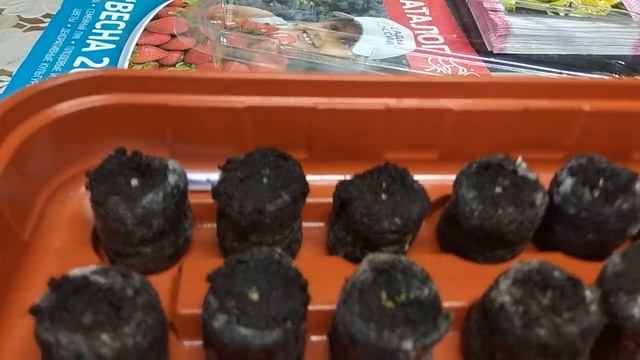 ЭУСТОМА ВЗОШЛА! ЧТО ДАЛЬШЕ? ВАЖНО! смотреть онлайн