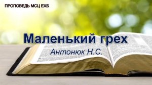 Маленький грех. Антонюк Н.С. Проповедь. МСЦ ЕХБ