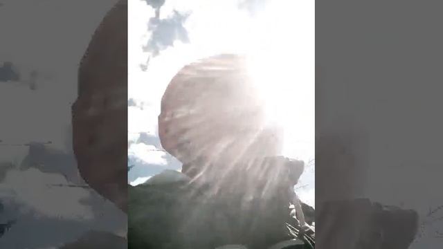 Клад в саду! WTF! смотреть онлайн