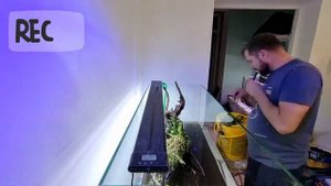 Запуск аквариума 300 литров Травник