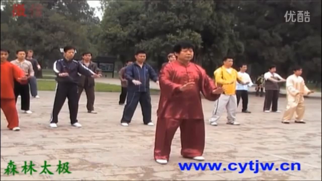Чэнь Юй   Чэнь ши  и лу  с 1 по 17  Медленное исполнение