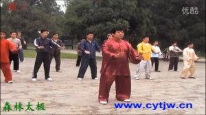 Чэнь Юй   Чэнь ши  и лу  с 1 по 17  Медленное исполнение