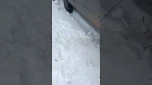 АМЕРИКАНСКИЙ ФОРД Ф 250 НА БЕЗДОРОЖЬЕ..