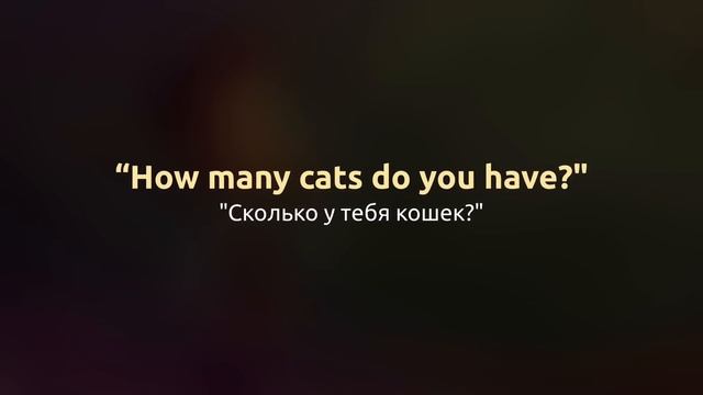 Five Cats - Смешной рассказ на английском для начинающих (А1) ? Английский на слух
