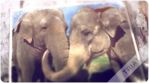 Мантра помогает сделать большие продажи!