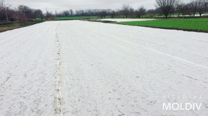 ВЫРАЩИВАНИЕ ГОРОХА ЧАСТЬ 6 / БИЗНЕС НА ГОРОХЕ