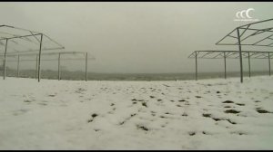 Зима в Анапе