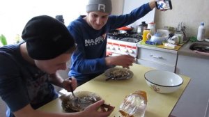 Что будет, если съесть КОШАЧИЙ КОРМ