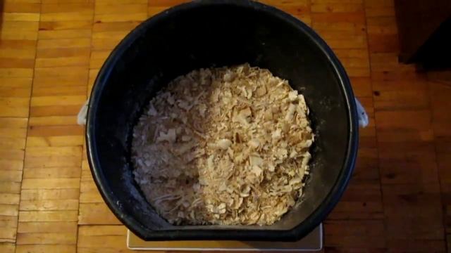 Как вырастить виноград в домашних условиях из черенков 1 часть смотреть онлайн