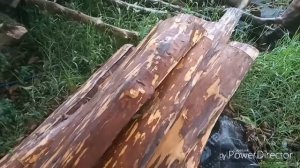 Живая Изба 11 из горбыля