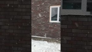 Халберг технониколь