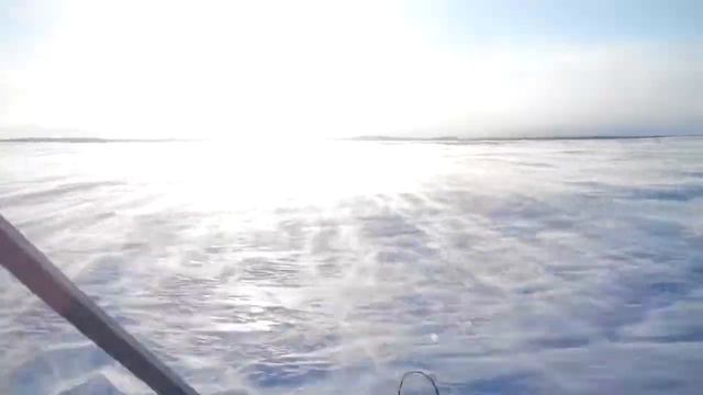 Аэросани Надым 2017 тундра смотреть онлайн