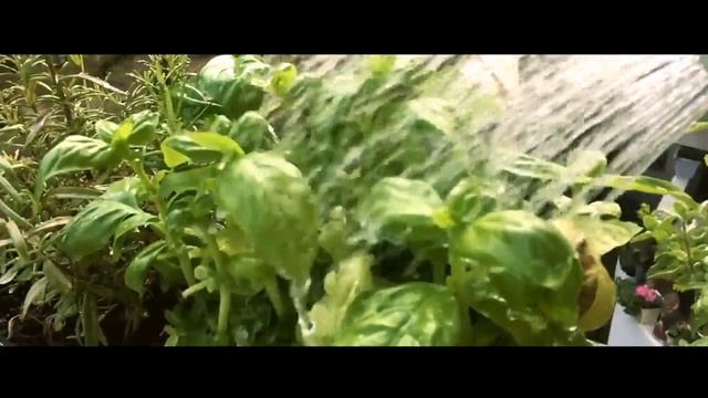 10% im April - Bauer Holz KG смотреть онлайн