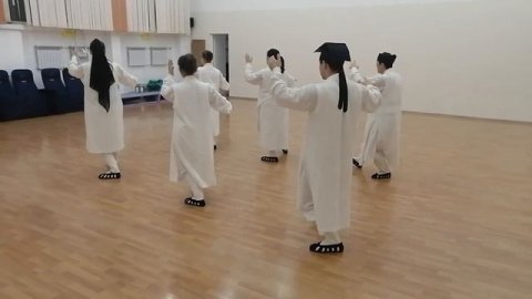 28 форм Тайцзи