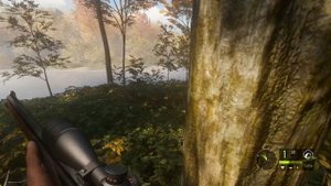 theHunter call of the wild #14 ? - Золотой Кабан - Оружие: Лук Винтовка - Трофеи: Кабан Косуля Лань