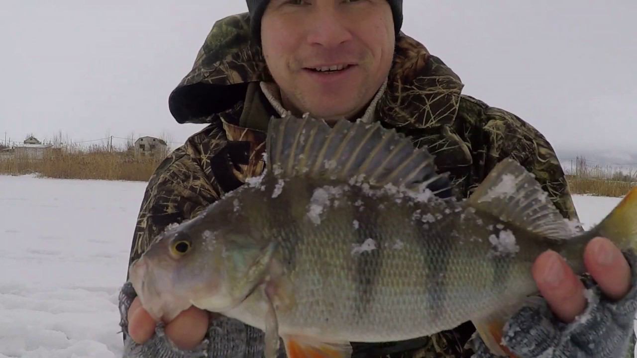 ОКУНЬ на БЕЗМОТЫЛКУ(на хитрую) | Волшебная ЛУНКА РАЗДАЁТ | ЗИМНЯЯ РЫБАЛКА НА РЕКЕ "УРЕНЬ" смотреть онлайн
