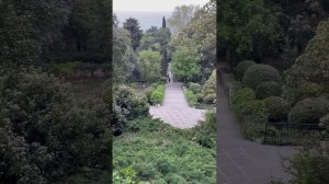 Никитский Ботанический Сад