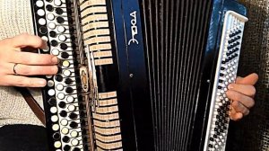 Сектор Газа - Бомж Кавер на баяне