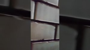 Новокубанский кирпич