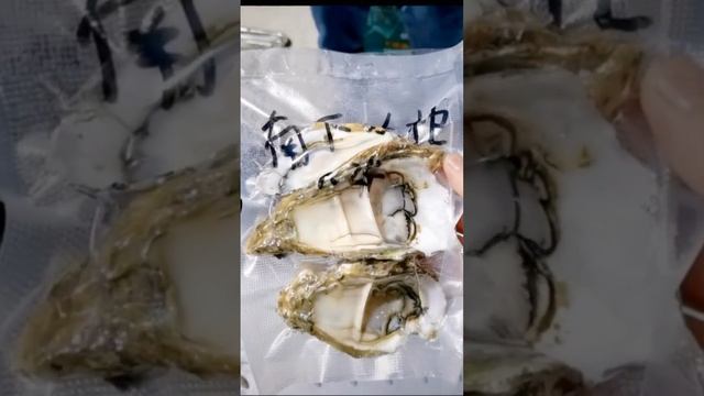 Blast Freezer(-80 degree),Keep Oysters Fresh For Up To 3 Months. I follow these simple steps.2022