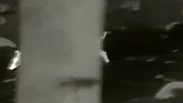 Infiray Finder FH25R смотреть онлайн