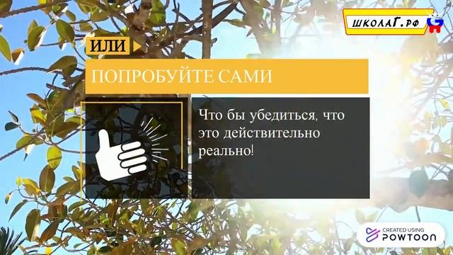 Бесплатный курс английского языка с получением Сертификата TOEFL. смотреть онлайн