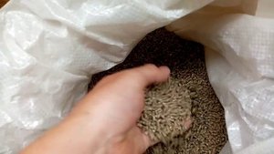 Как и чем подкармливать крольчат для развития быстрого роста/Отсадка крольчат от Крольчихи