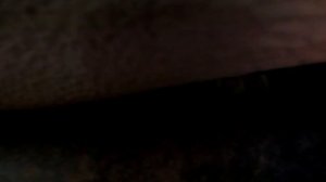 "Нива" на дальняк. 7500 км. Что проверить, что взять с собой в дорогу.