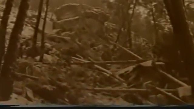 Woman Survived 33,333 Feet Fall From Airplane (Vesna Vulovic Guinness World Records) смотреть онлайн