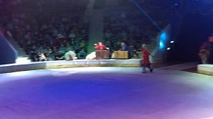 "ЗООСАД" ДРЕССУРА ЭКЗОТИЧЕСКИХ ЖИВОТНЫХ П/Р АЛЛЫ СЫЧЕВОЙ, ШОУ "ЦИРК ФИЛАТОВЫХ", КУРСКИЙ ЦИРК