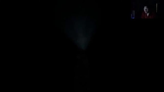 The NON-CO-OPerators Face It-A game to Fight inner Demons смотреть онлайн