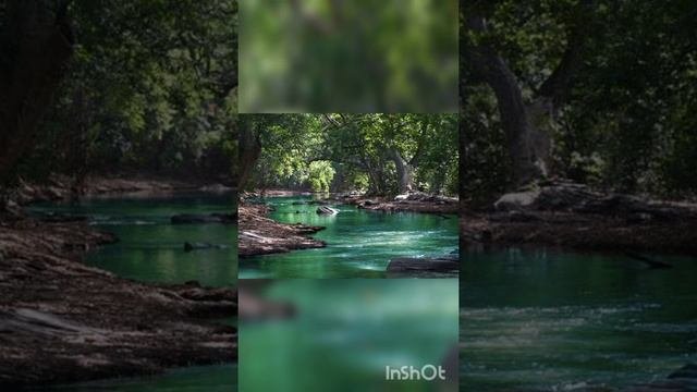 Приятная,успокающая музыка для сна.#красота#сон#красиваямузыкадлясна#музыкадлясна#россия#деньги#фот