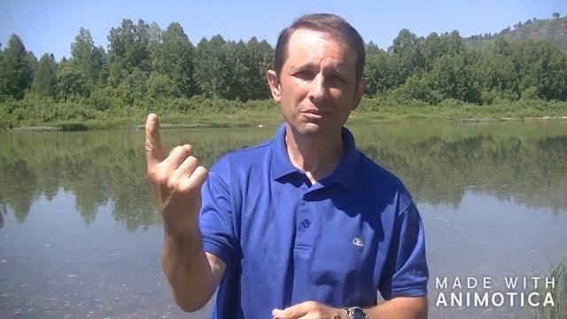 Долголетия от жителей острова Икария (2019) смотреть онлайн