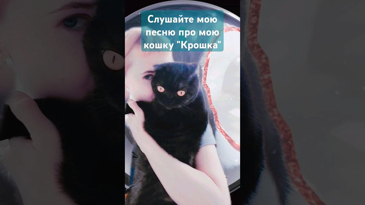 "Крошка"- Александра Серёжникова #песня #песняпрокошку