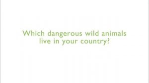 14_WiderWorld2e_SB2_Unit3_Video_BBCVoxPop_3.1