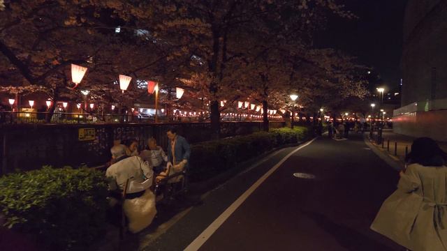 4K・Сакура на реке Мегуро из конца в конец - часть 1 смотреть онлайн