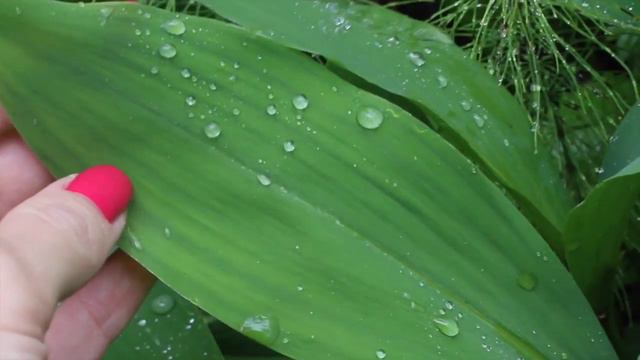 Маленький VLOG! Дача 🍃 смотреть онлайн