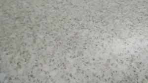 Спринт Про Медано 1 Линолеум Таркетт