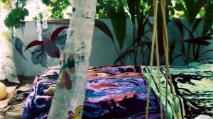 Детский сад Ромашка в ГОА/  Индия / Goa Kinder Garden Romashka/ Детский сад в Гоа