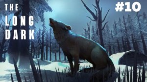 The Long Dark.Лонг Дарк.The Long Dark прохождение.Прохождение Лонг Дарк.PC.Выживание