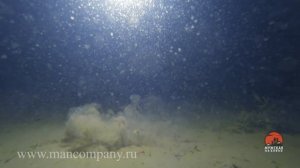 Подводные съемки ловли рыбы