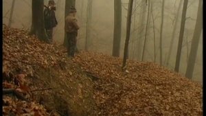 Охота на утку | Охота с норыми