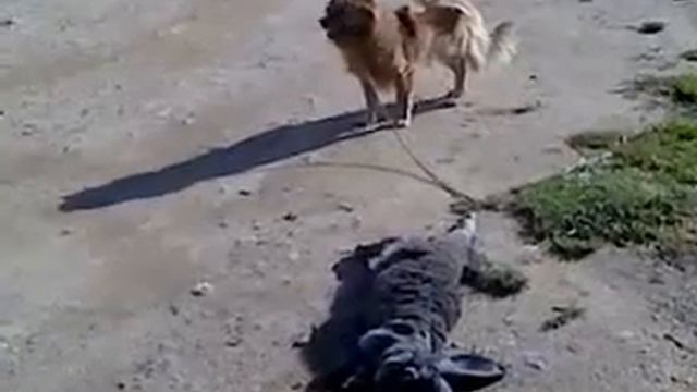 Что происходит на улице смотреть онлайн