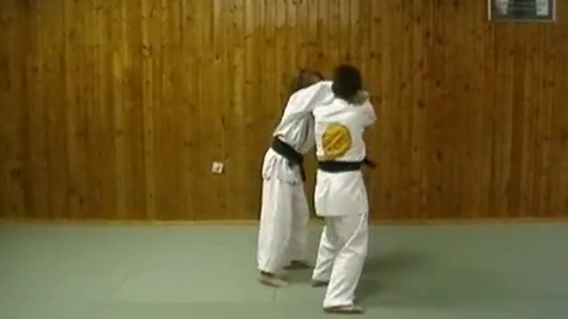 Детская программа экзаменов на пояса в Реальном айкидо на синий пояс