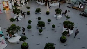 СЕМЬ ЗАКОНОВ УСПЕХА! Ментальные законы, Брайана Трейси! ЭТО стоит узнать.