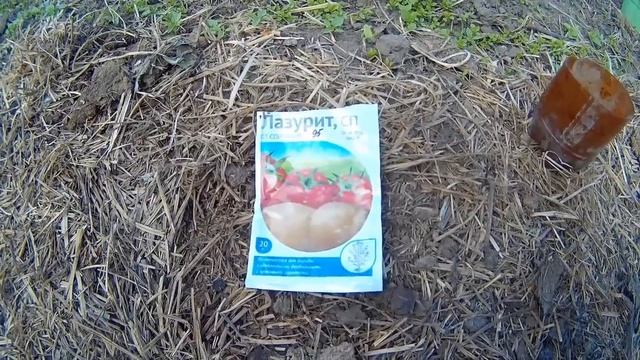 Борюсь с сорняками на картошке. смотреть онлайн