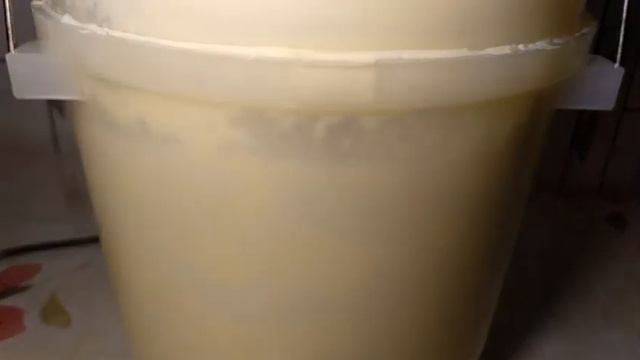 Делаю масло из сливок.//Из фермерских сливок маслобойкой.