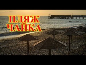 СОЧИ\АДЛЕР\ОБЗОР ПЛЯЖА ЧАЙКА\НАШ ЮГ\АДЛЕР В БАРХАТНЫЙ СЕЗОН\ПЛЯЖ ЧАЙКА