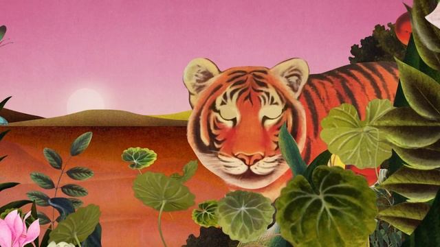 Dr.Jart+ Cicapair Tiger Video смотреть онлайн